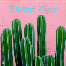 Load image into Gallery viewer, Pachycereus marginatus, Fence Post Cactus, Cactus, Succulent, Live plant