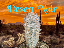 Load image into Gallery viewer, Old Man Of The Andes Cactus, Oreocereus celsianus, Espostoa Melanostele, Live cactus, succulent