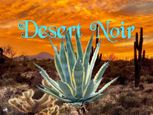 Load image into Gallery viewer, Agave Americana, Marginata, Variegated, Century Plant