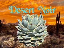 Load image into Gallery viewer, Dwarf Butterfly Agave, Agave potatorum, Kichiokan variegata