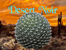 Load image into Gallery viewer, Agave Victoriae-Reginae – Queen Victoria Agave Live Succulent, Rare Compact Rosette, Drought-Tolerant Desert Plant