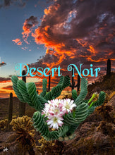 Load image into Gallery viewer, Spiral Cactus, Forbesii Spiralis, Cereus hildmannianus f. tortuosus,