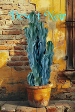 Load image into Gallery viewer, Cereus Peruvianus Monstrose, moon blooming