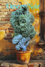 Load image into Gallery viewer, Crested Blue Candle, myrtillocactus geometrizans cristata, Crested Blue Flame, Crested Blue Myrtle, Live plant, cactus, succulent