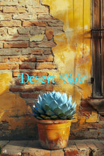 Load image into Gallery viewer, Artichoke Agave, Agave parryi var. truncata