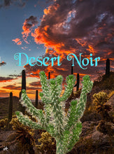 Load image into Gallery viewer, Eve's Pin, Austrocylindropuntia subulata,