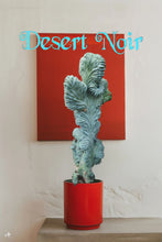 Load image into Gallery viewer, Dinosaur Back (Myrtillocactus geometrizans f. cristata), Crested cactus, succulent, live plant