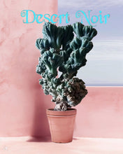 Load image into Gallery viewer, Ming Thing, Cereus Forbesii Monstrose