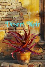 Load image into Gallery viewer, Red Aloe (Aloe Cameronii), Cameron's Ruwari Aloe, live plant