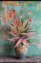 Load image into Gallery viewer, Red Aloe (Aloe Cameronii), Cameron's Ruwari Aloe, live plant