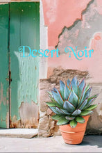 Load image into Gallery viewer, Blue Glow Agave, A. attenuata x A. ocahui, live plant