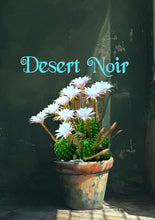 Load image into Gallery viewer, Easter Lilly Cactus, Echinopsis oxygona, cactus flower, cactus, succulent, live plant