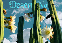 Load image into Gallery viewer, San Pedro, Echinopsis pachanois,Trichocereus Pachanoi, Cactus, Succulent, Live Plant