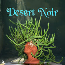 Load image into Gallery viewer, Medusa's Head Cactus, flanaganii, muirii, caput-medusa, cactus, succulent, Live Plant