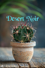 Load image into Gallery viewer, Devils Tongue Barrel Cactus, Ferocactus latispinus, fish hook cactus, barrel cactus, cactus, succulent, live plant