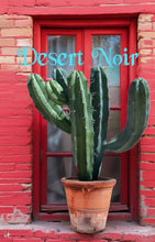 Load image into Gallery viewer, Blue Myrtle Cactus – Myrtillocactus geometrizans Live Cactus, Blue Candle Succulent, Columnar Desert Plant