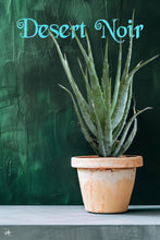 Load image into Gallery viewer, Blue Elf Aloe