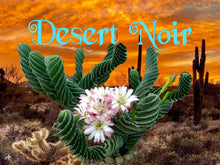 Load image into Gallery viewer, Spiral Cactus, Forbesii Spiralis, Cereus hildmannianus f. tortuosus,