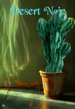 Load image into Gallery viewer, Crested Blue Candle, myrtillocactus geometrizans cristata, Crested Blue Flame, Crested Blue Myrtle, Live plant, cactus, succulent