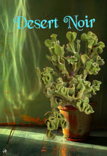 Load image into Gallery viewer, Crazy Bunny Ears, Opuntia Microdasys Monstrose, Cactus, Succulent