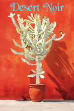 Load image into Gallery viewer, Euphorbia White Ghost – Euphorbia Lactea Live Succulent Cactus, Dragon Bones Tree, Grey Ghost, Candelabra Spurge Plant