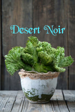 Load image into Gallery viewer, Crested Eve's Needle, Austrocylindropuntia subulata Cristata, crested cactus, cactus, succulent, live plant