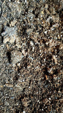Load image into Gallery viewer, Desert Noir Succulent Soil, Premium Potting Soil Mix, Well Draining Succulent Soil, Grow Indoor Plants, Cactus dirt
