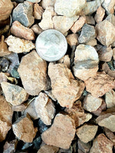 Load image into Gallery viewer, Larger Top Dressing Rock, Black/ White/ Natural, cactus, succulent, garden