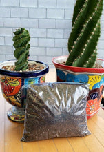 Load image into Gallery viewer, Desert Noir Succulent Soil, Premium Potting Soil Mix, Well Draining Succulent Soil, Grow Indoor Plants, Cactus dirt