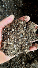 Load image into Gallery viewer, Desert Noir Succulent Soil, Premium Potting Soil Mix, Well Draining Succulent Soil, Grow Indoor Plants, Cactus dirt