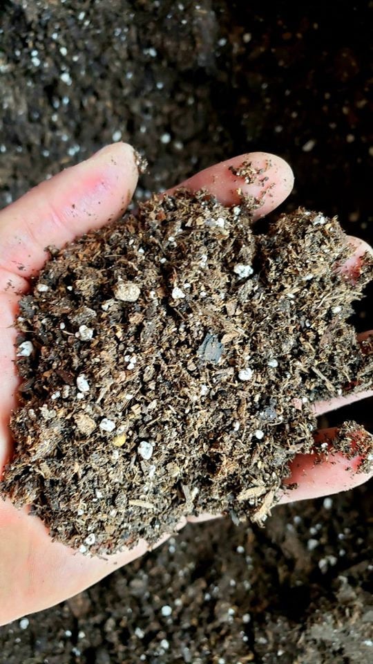 Desert Noir Succulent Soil, Premium Potting Soil Mix, Well Draining Su