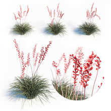 Load image into Gallery viewer, Red Yucca – Hesperaloe parviflora Live Plant, Drought-Tolerant Flowering Succulent, Coral Blooming Yucca, Xeriscape Favorite