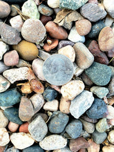 Load image into Gallery viewer, Larger Top Dressing Rock, Black/ White/ Natural, cactus, succulent, garden