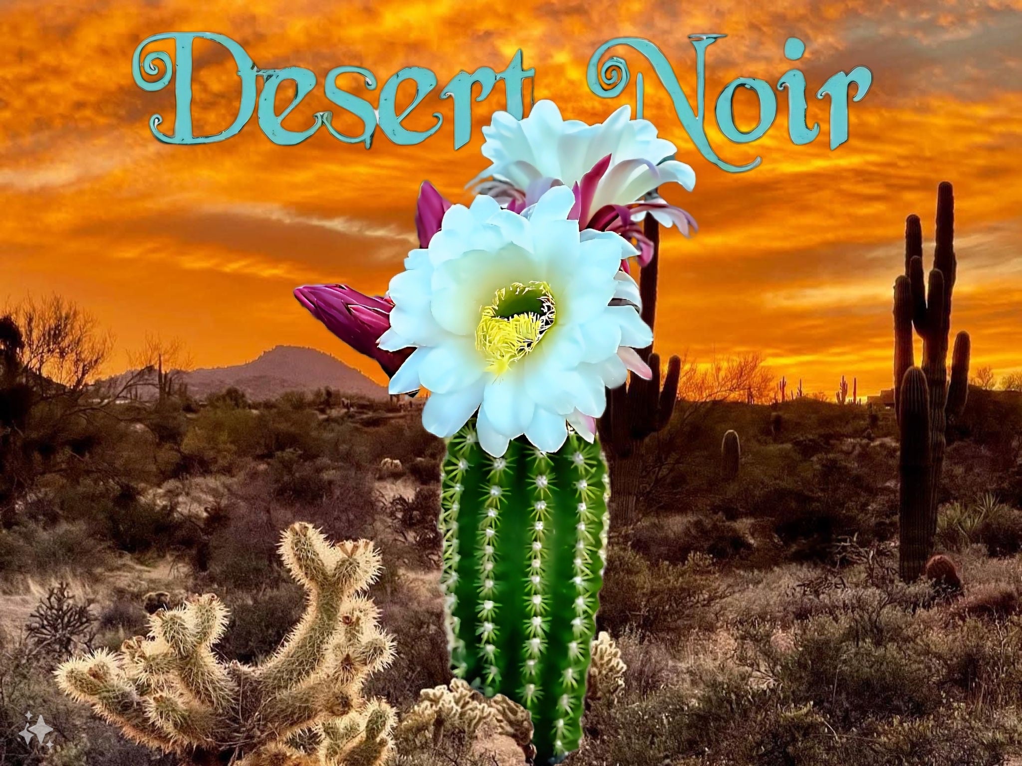 Argentine Giant Cactus – Echinopsis candicans Live Cactus Plant, Night –  Desert Noir