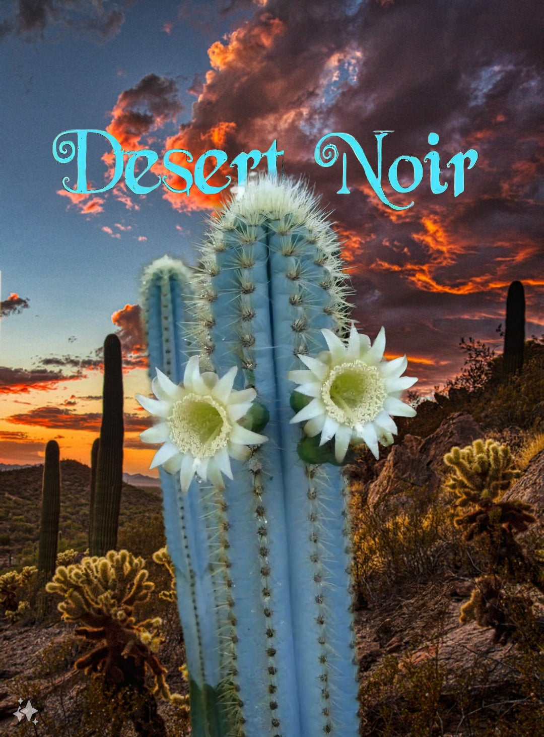 blue pencil cactus Blue Pilosocereus Cactus (6in)
