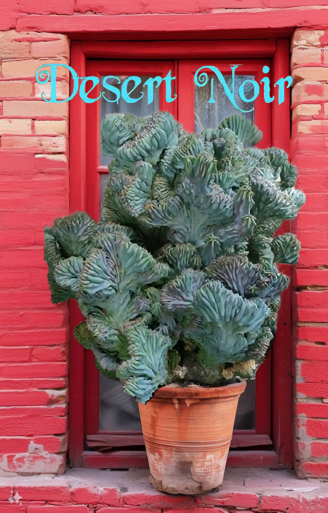 crested myrtillocactus geometrizans succulent Dinosaur Back (Myrtillocactus geometrizans f. cristata), Crested cactu – Desert Noir