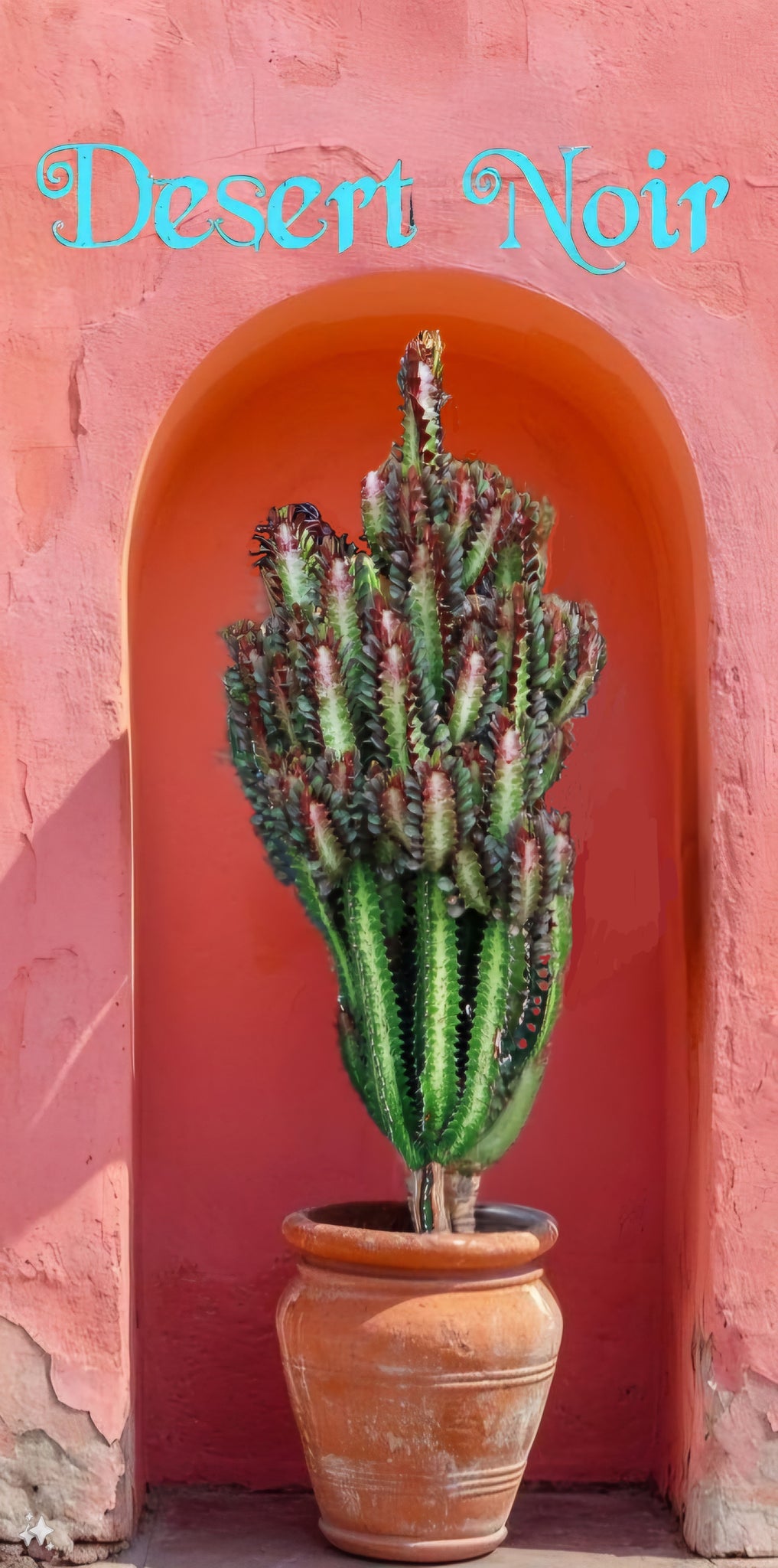 african succulent cactus African Milk Tree – Euphorbia trigona Rubra or Green Live Succulent, T – Desert Noir