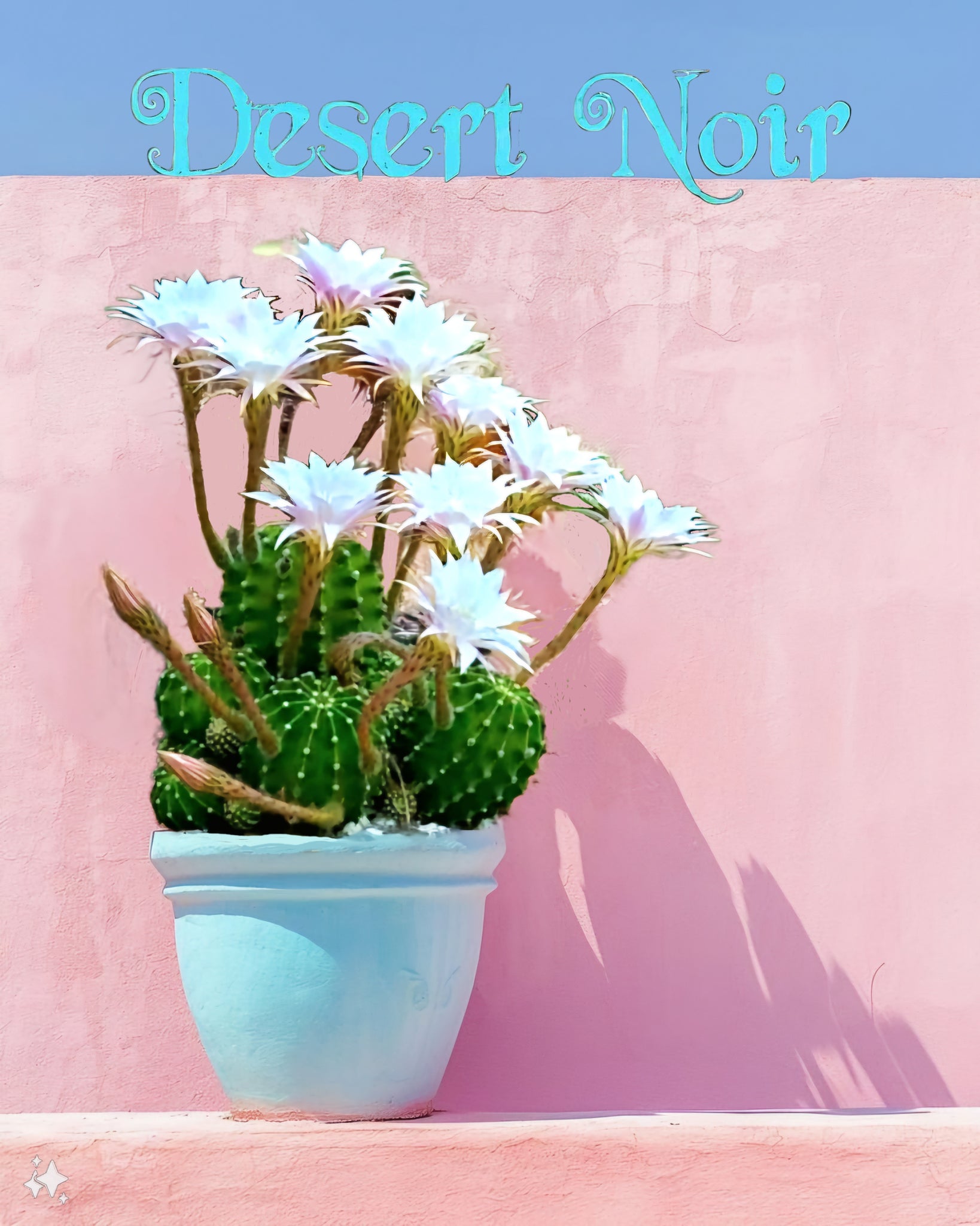 easter lily cactus flower Easter Lilly Cactus, Echinopsis oxygona, cactus flower, cactus, succul – Desert Noir