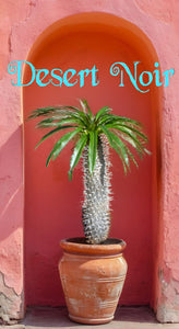 madagascar succulent tree Madagascar Palm – Pachypodium lamerei Live Succulent Tree, Rare Spiny – Desert Noir