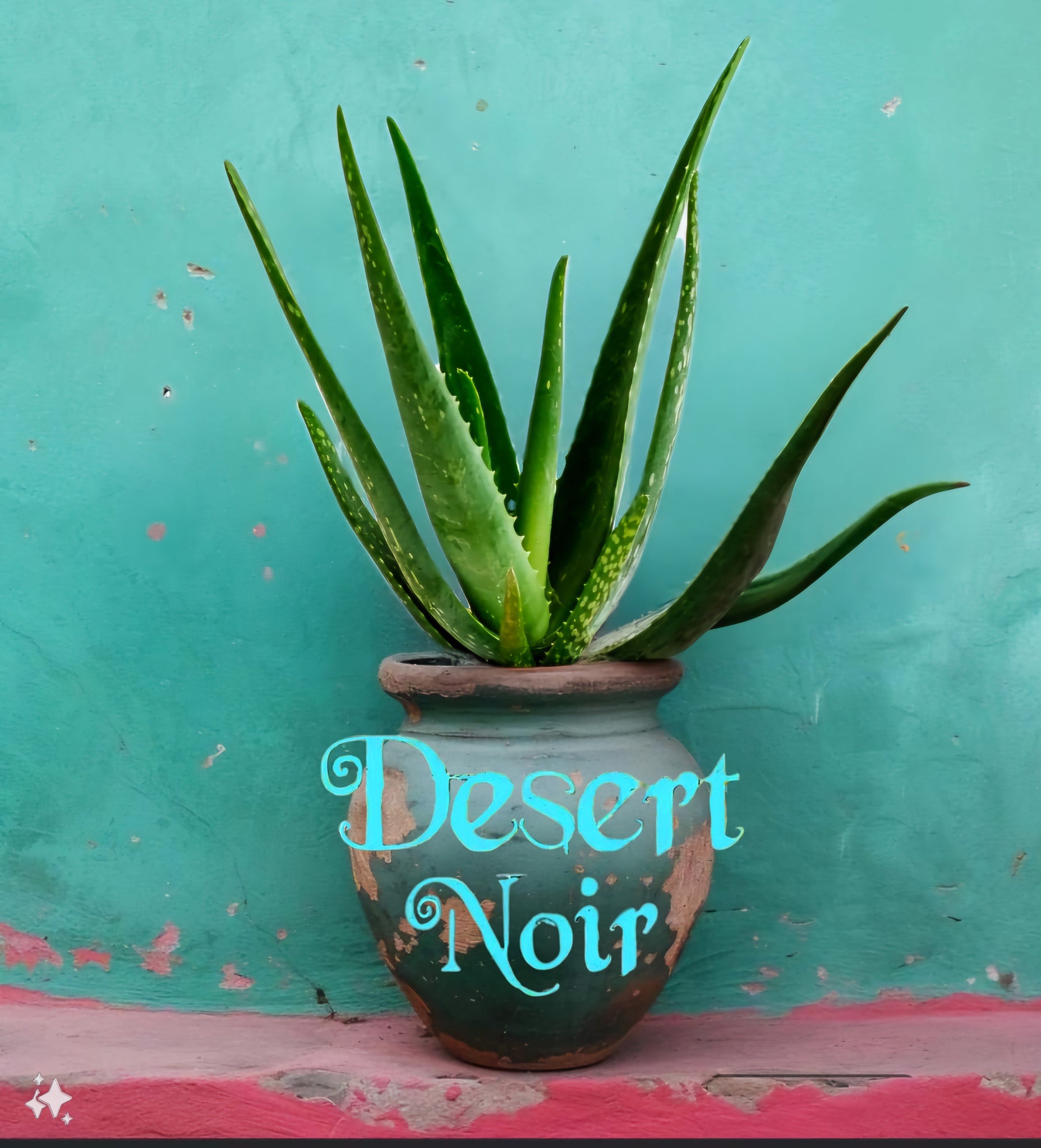 organic aloe vera plant near me Organic Aloe Vera, Aloe, aloe barbadensis, cactus, succulent, live pla – Desert Noir