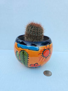 Hand-Painted Mini Cactus in Clay Pot – Unique Desert Decor & Easy-Care Gift
