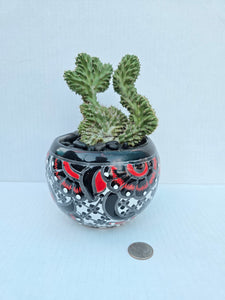 Hand-Painted Mini Cactus in Clay Pot – Unique Desert Decor & Easy-Care Gift