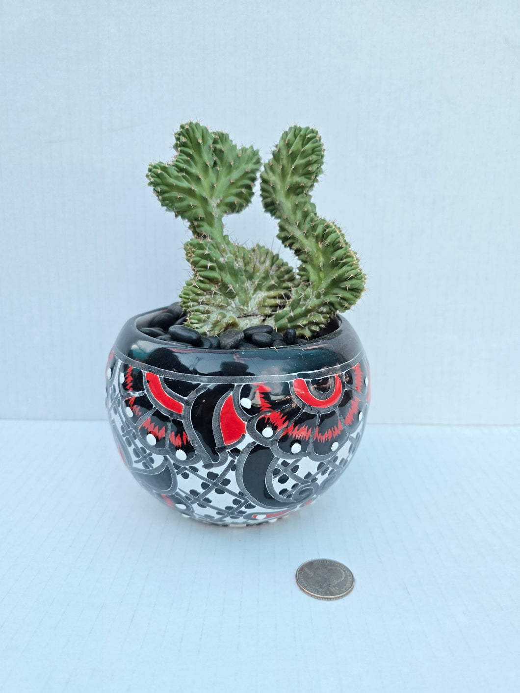 Hand-Painted Mini Cactus in Clay Pot – Unique Desert Decor & Easy-Care Gift
