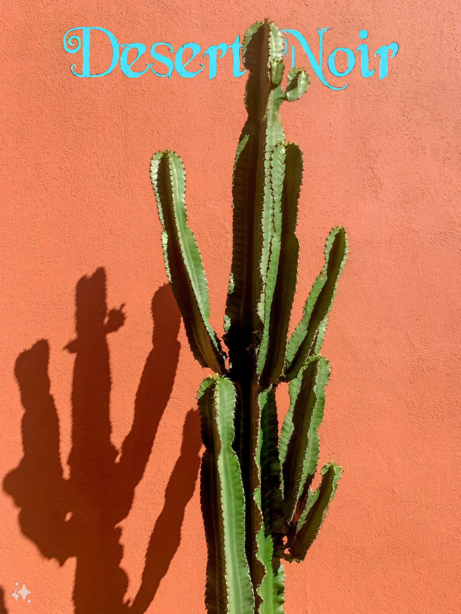 chocolate drop succulent Candelabra Chocolate Drop, Ingens, Live Plant – Desert Noir