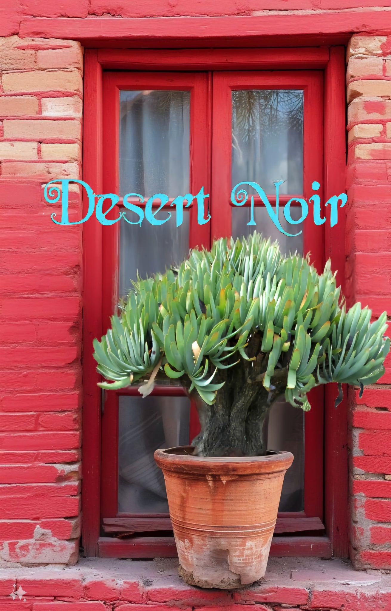 succulent similar to aloe Fan-Aloe, Kumara plicatilis, Aloe plicatilis, Succulent, Aloe, Cactus, – Desert Noir