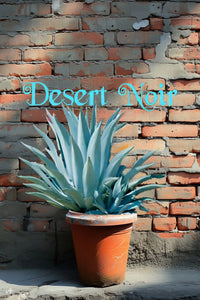 tequila succulent Blue Agave – Agave tequilana Live Succulent, Agave Azul Starter Plant, – Desert Noir