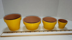 Hand Painted Terra Cotta planter pots, Succulents, Cactus, Gardening, various sizes, Terra cotta, Planter pots, gardening