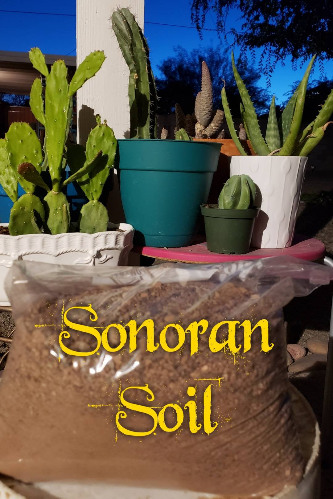 Sonoran Soil, Organic Cactus Soil, cactus, succulent – Desert Noir