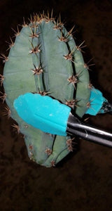 Cactus Tongs