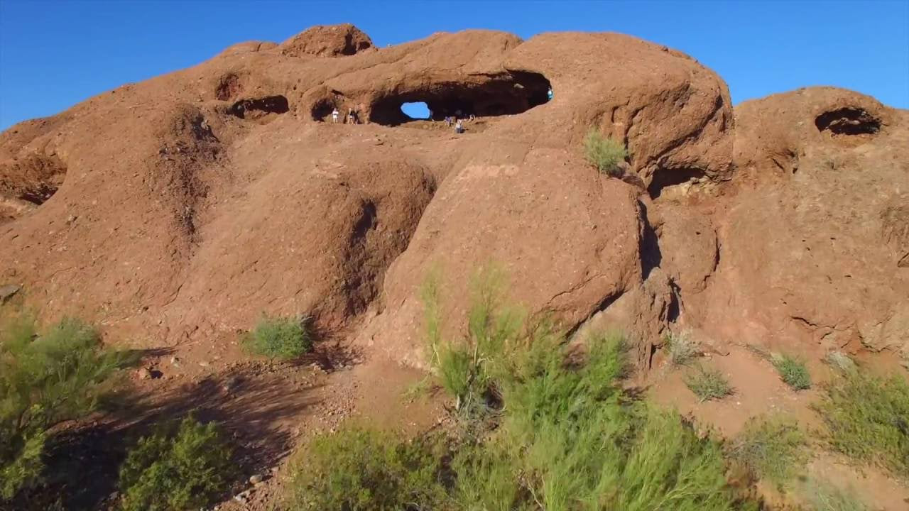 cactus soil near me Sonoran Soil, Organic Cactus Soil, cactus, succulent – Desert Noir